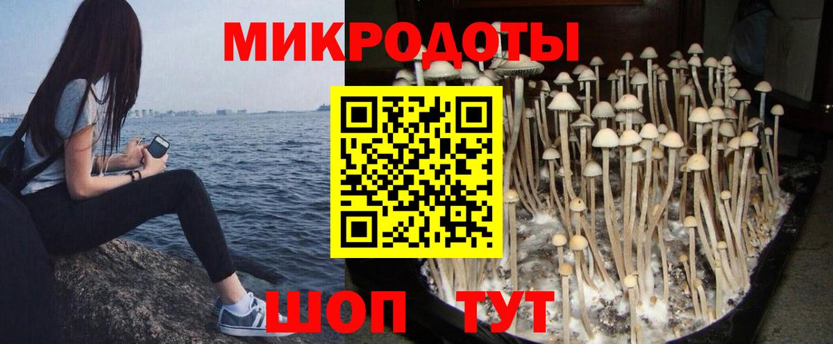 Псилоцибиновые грибы GOLDEN TEACHER  Вход с VPN  Аша 